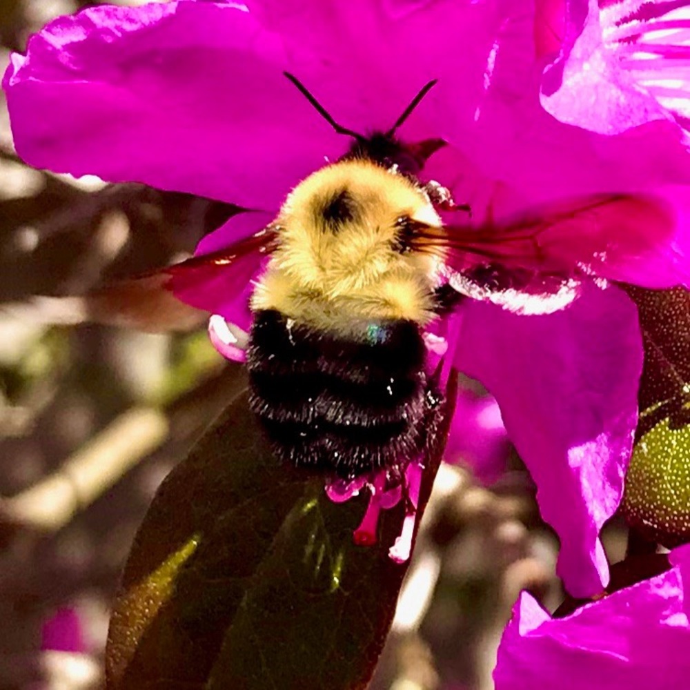 Meet your Posher, B!